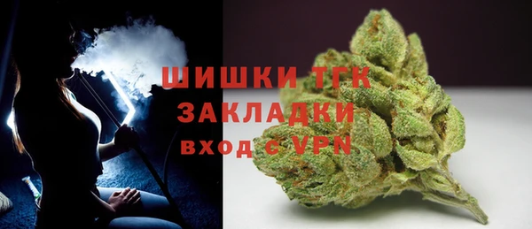 ПСИЛОЦИБИНОВЫЕ ГРИБЫ Карталы