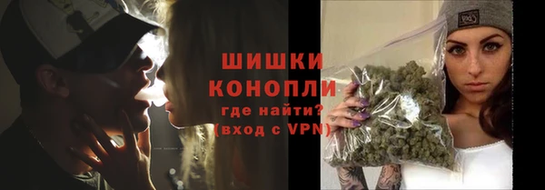 ПСИЛОЦИБИНОВЫЕ ГРИБЫ Карталы