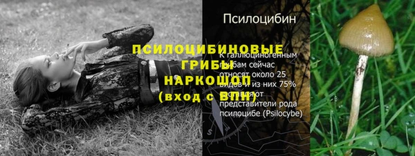 ПСИЛОЦИБИНОВЫЕ ГРИБЫ Карталы