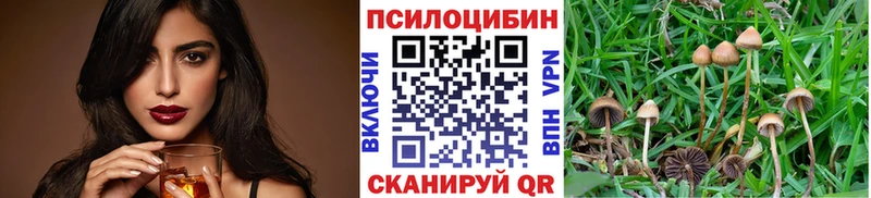 Псилоцибиновые грибы мицелий  Купить  Керчь 